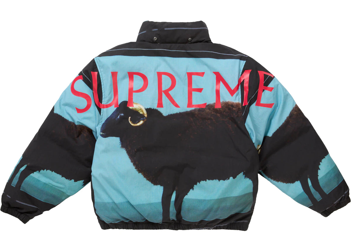 Supreme Damien Hirst Down Puffer Jacket Black New without tag