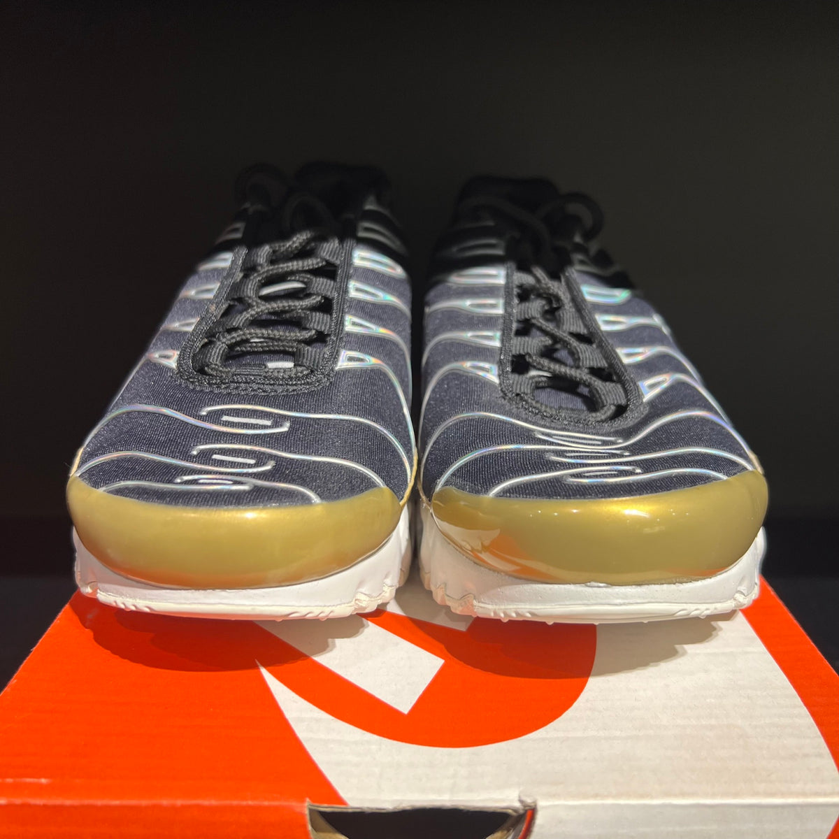 Nike Air Max Plus Black Aluminum (Women's) used