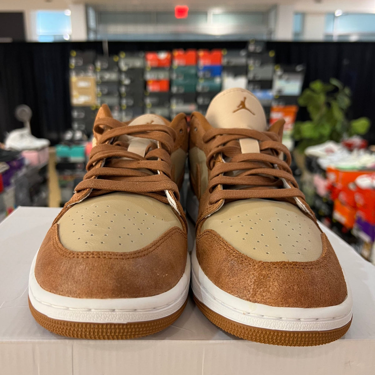 Jordan 1 Low SE Legend Coffee (Women's) used