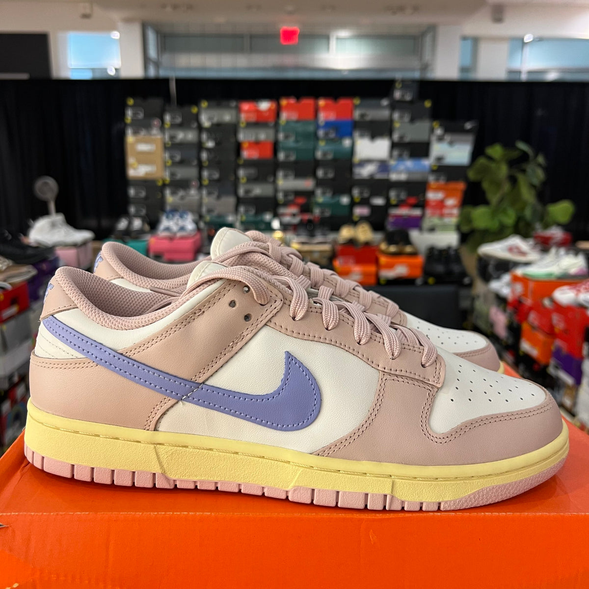 Nike Dunk Low Pink Oxford (Women's) used