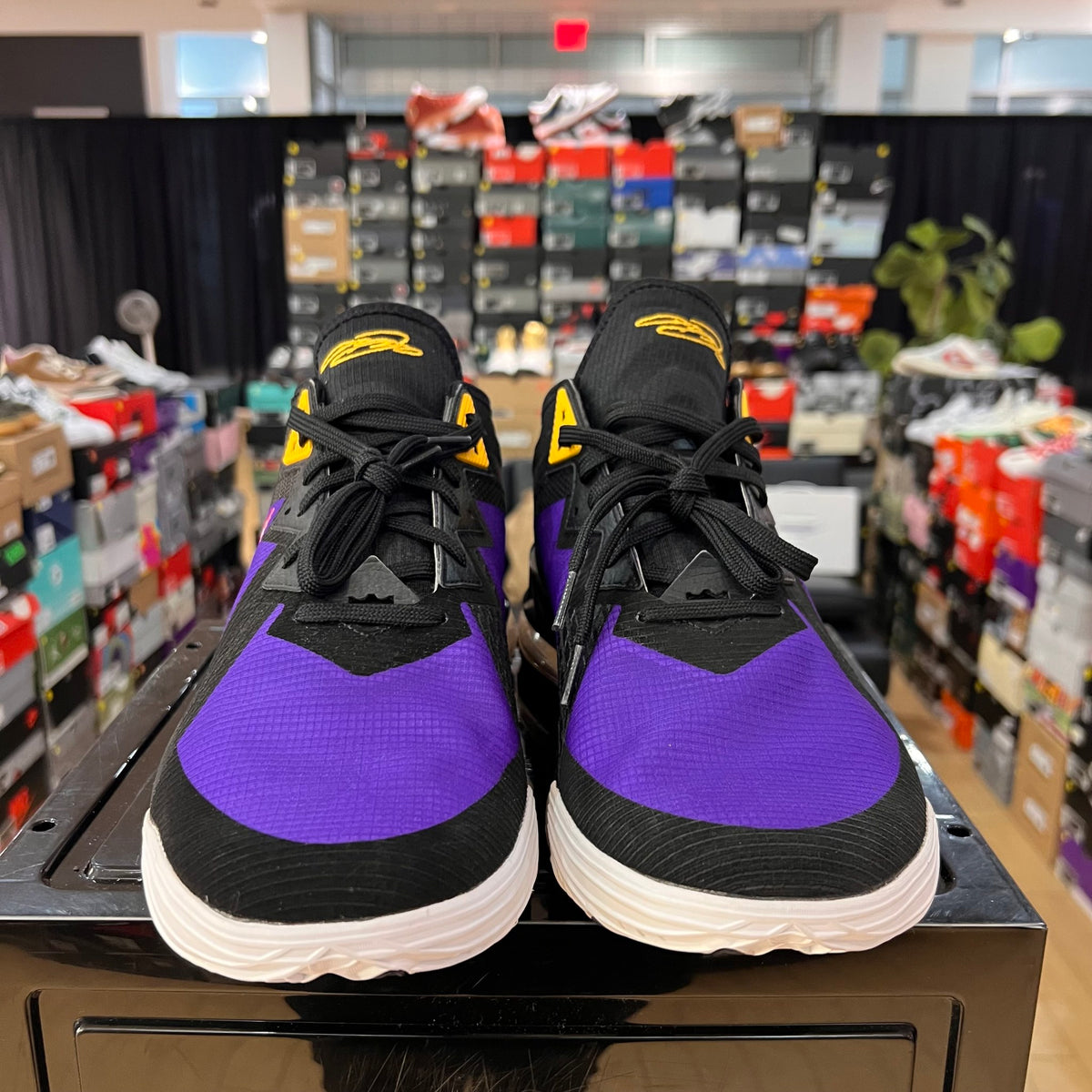 Nike LeBron 18 Low ACG Terra No box
