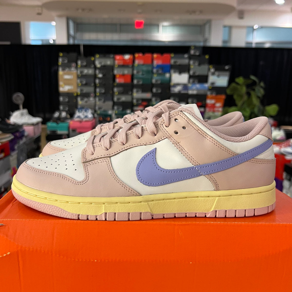 Nike Dunk Low Pink Oxford (Women's) used