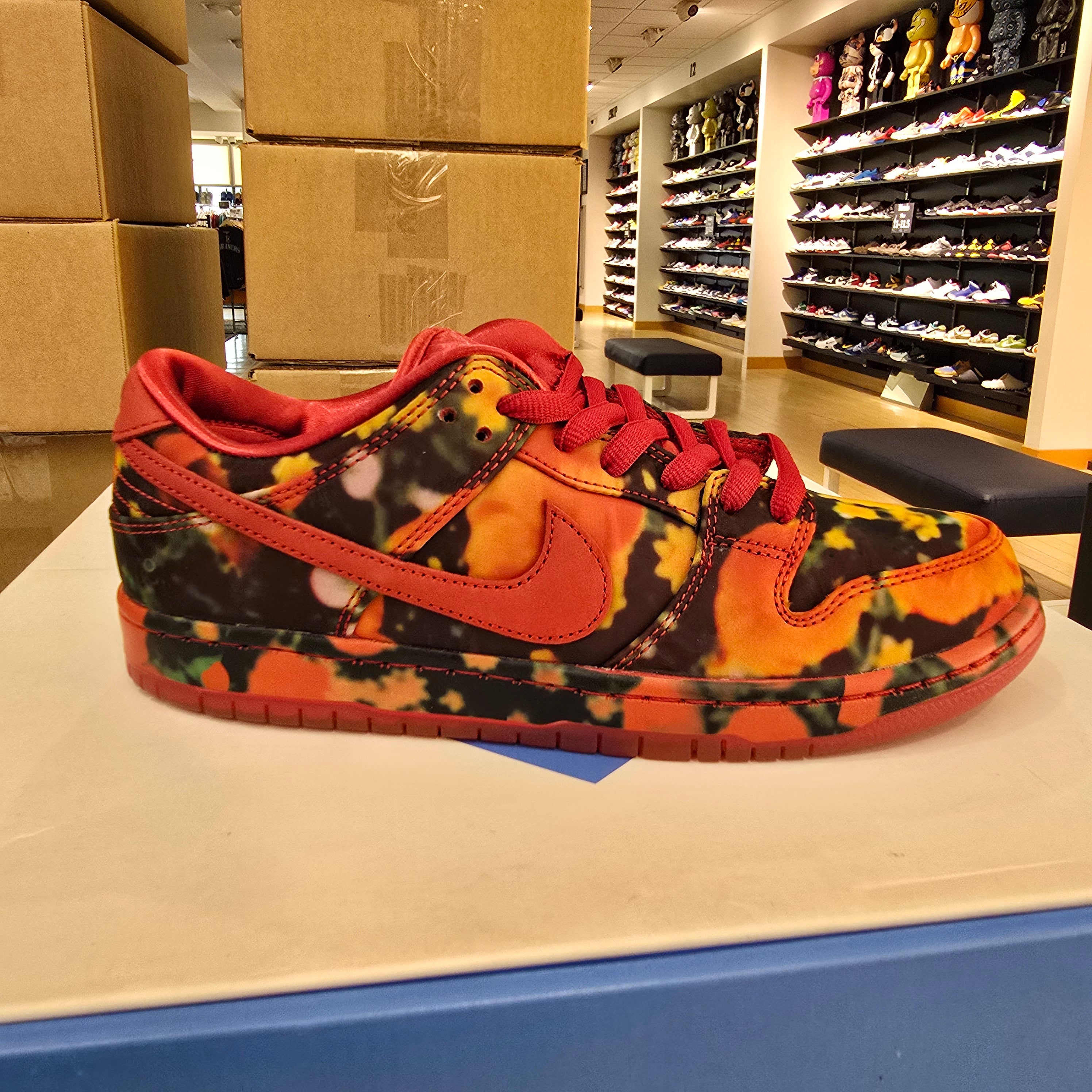Nike SB Dunk Low The Wizard of Ozz Poppy Field SZ 9.5