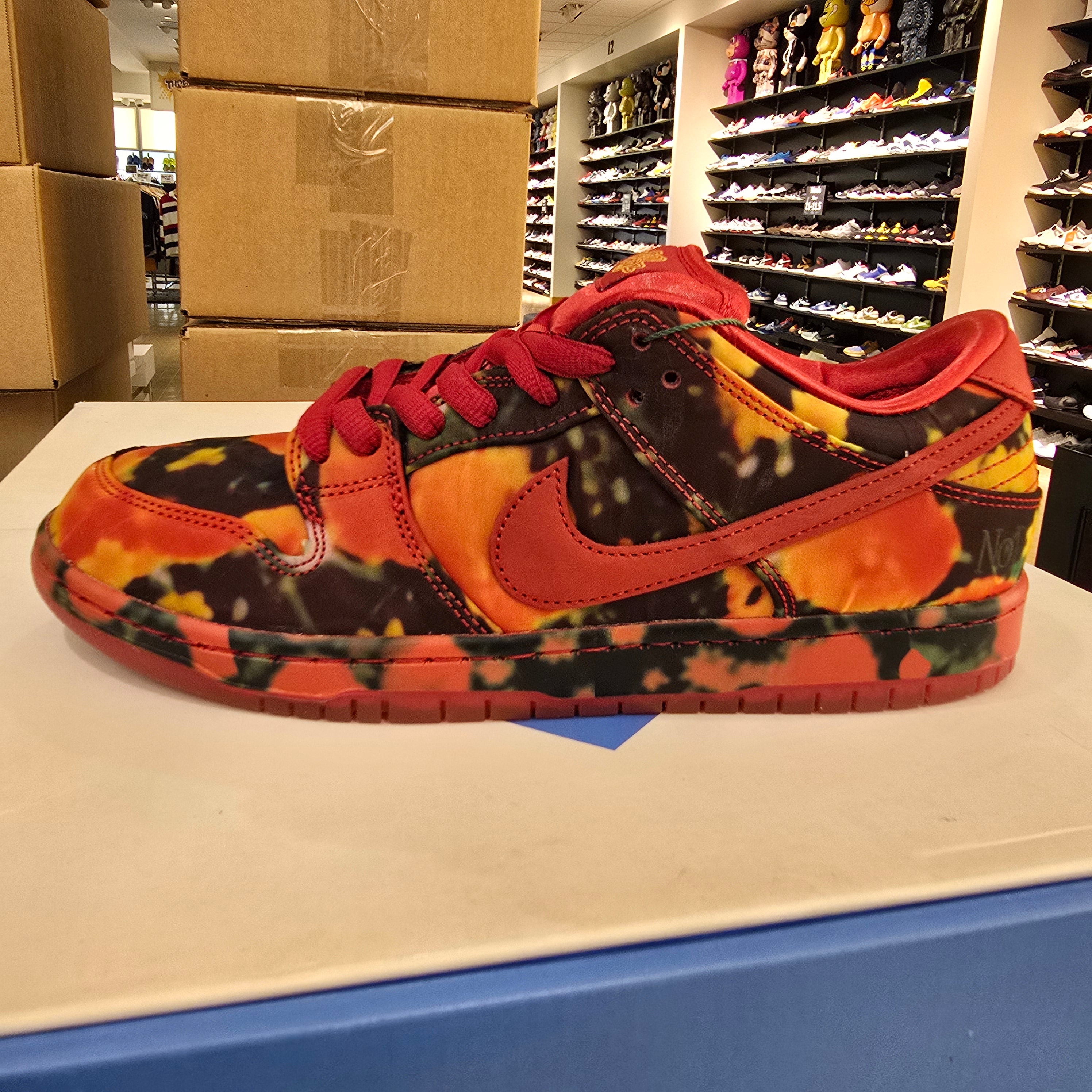 Nike SB Dunk Low The Wizard of Ozz Poppy Field SZ 9.5