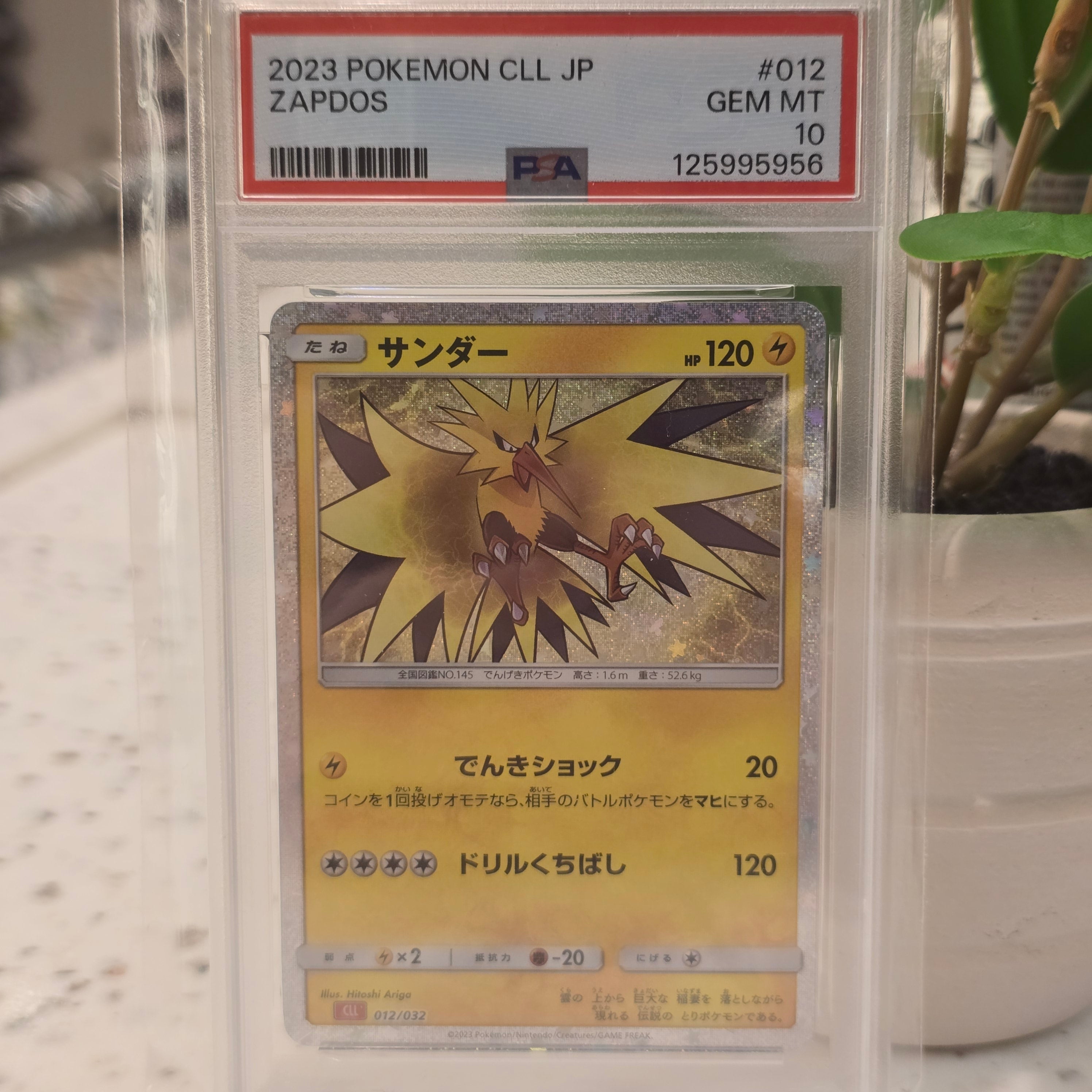 Pokemon Holo Zapados Japanese #12 PSA 10