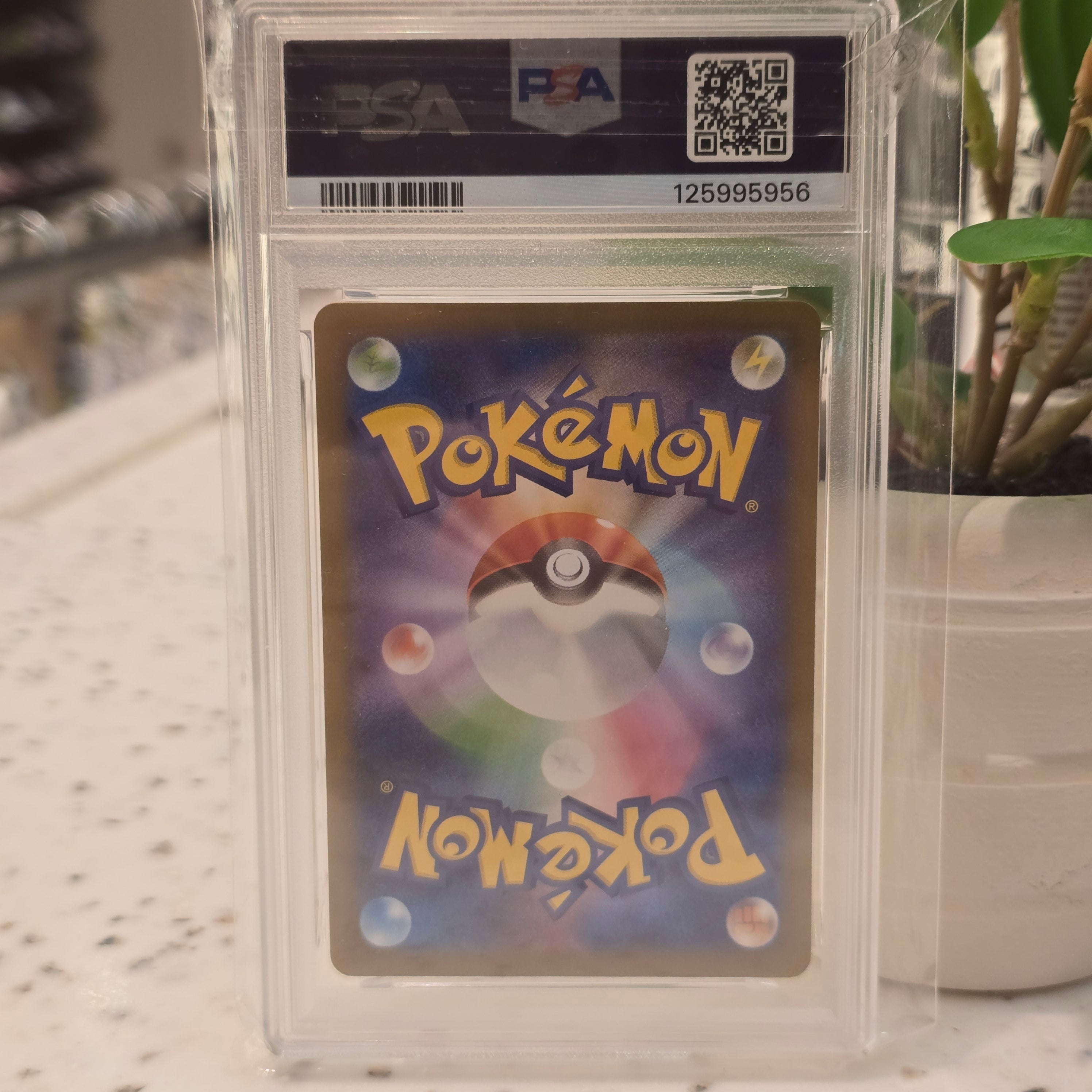 Pokemon Holo Zapados Japanese #12 PSA 10