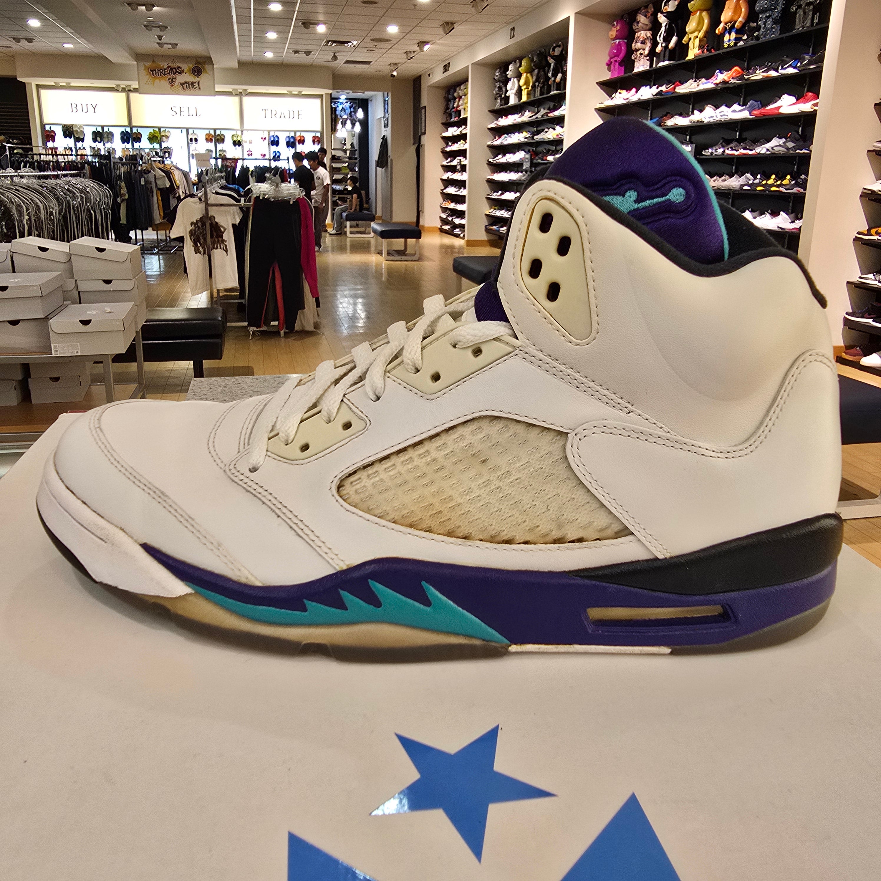 Jordan 5 Retro Grape (2013) USED NO BOX