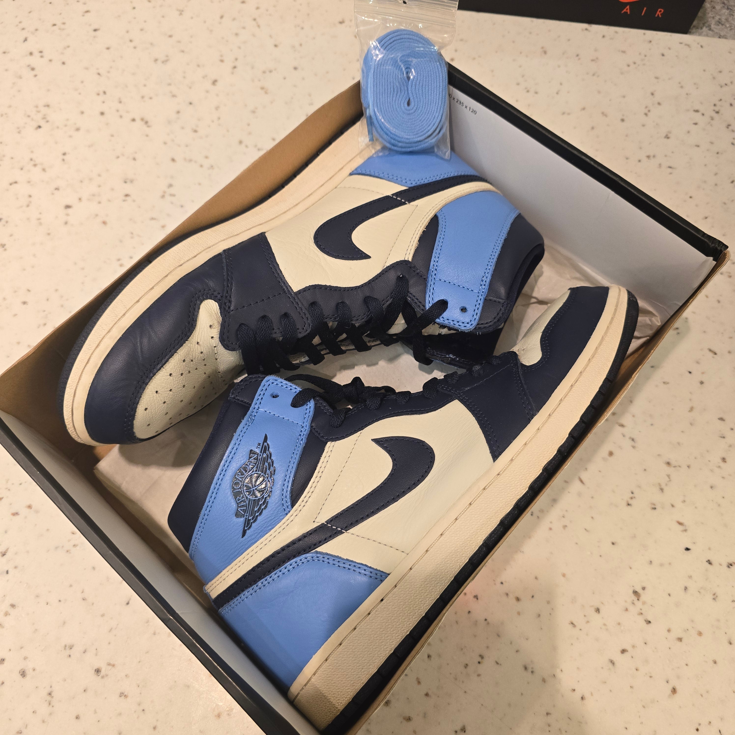 Air Jordan 1 Retro High Obsidian Sz 12 USED
