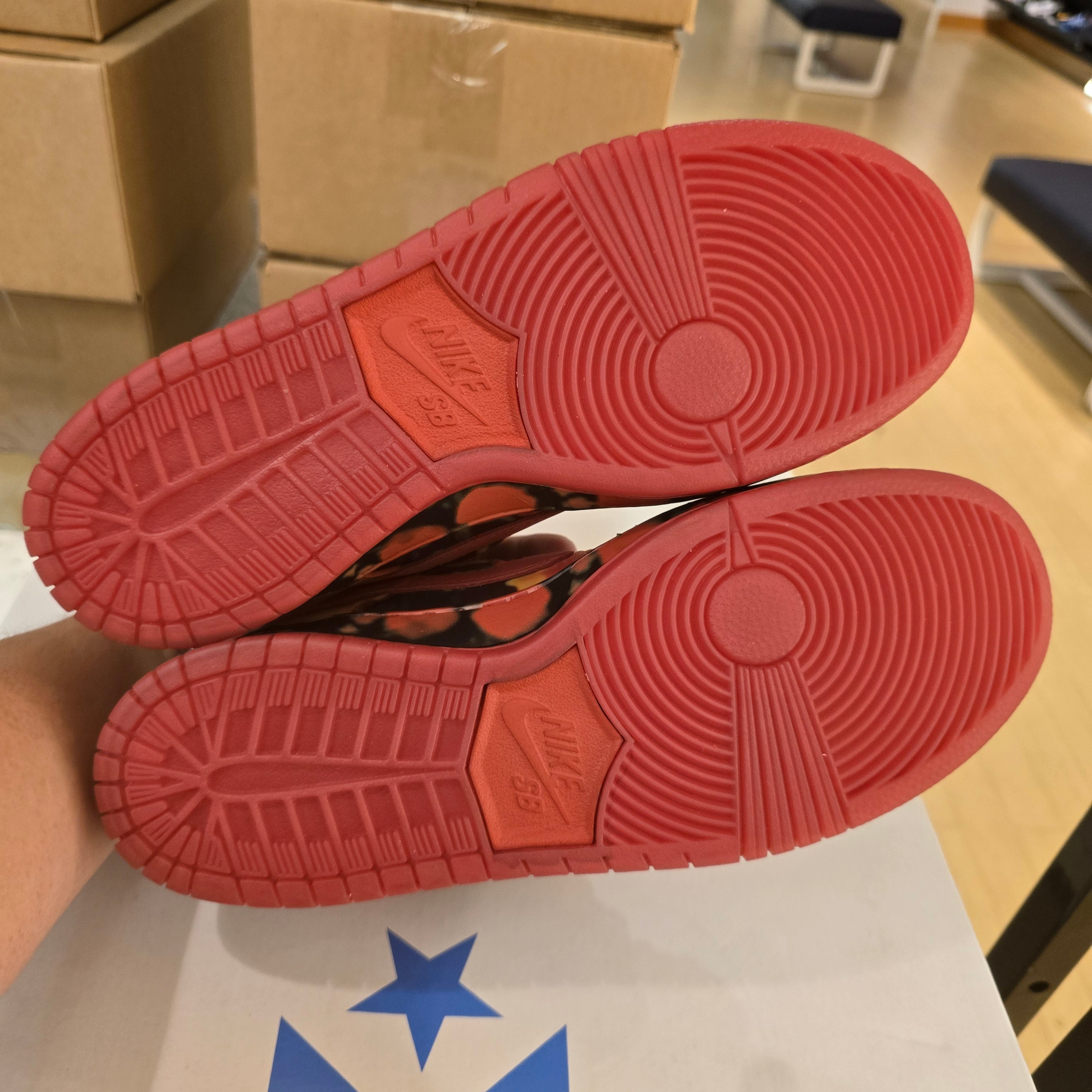 Nike SB Dunk Low The Wizard of Ozz Poppy Field SZ 9.5