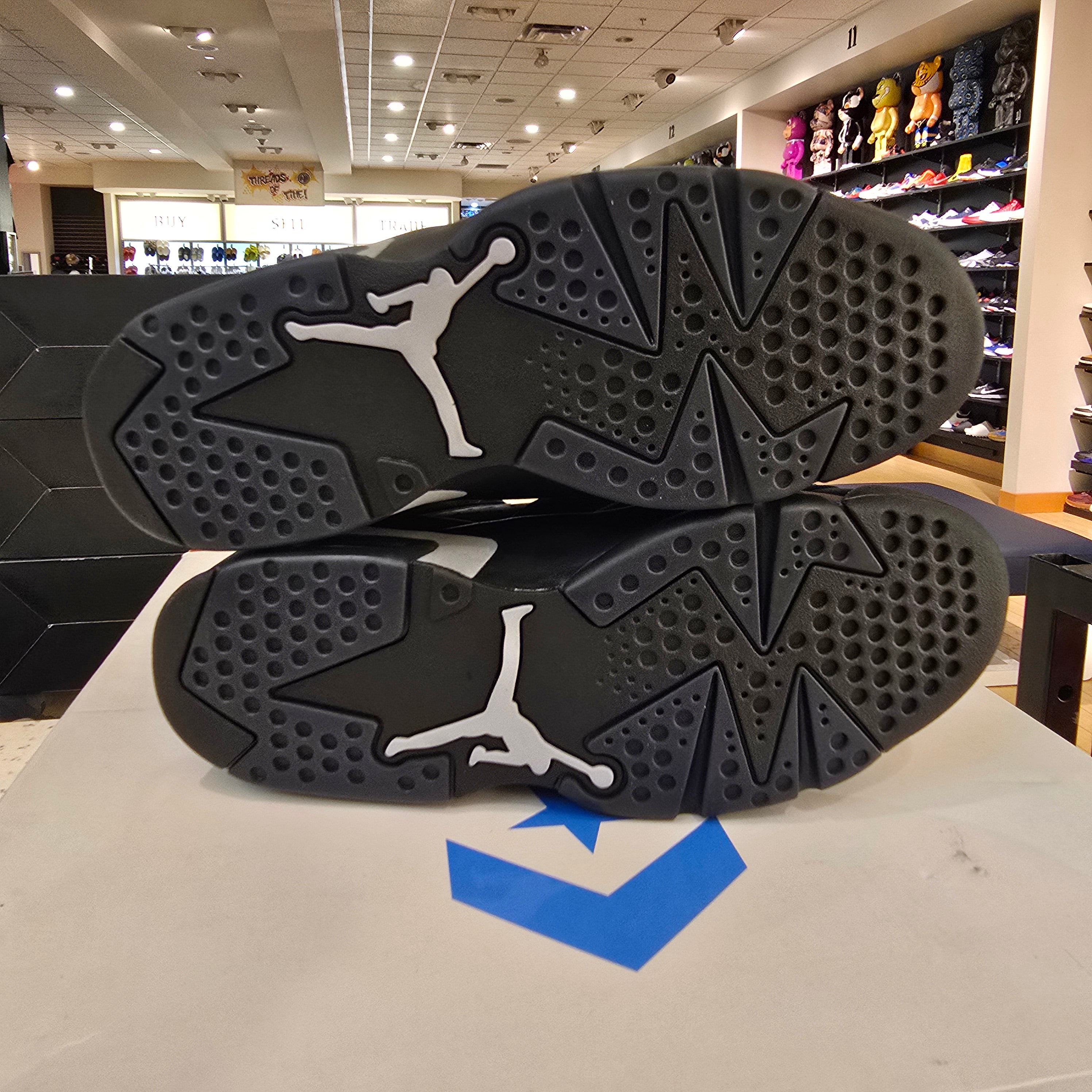 Jordan 6 Retro Cap and Gown SZ 10