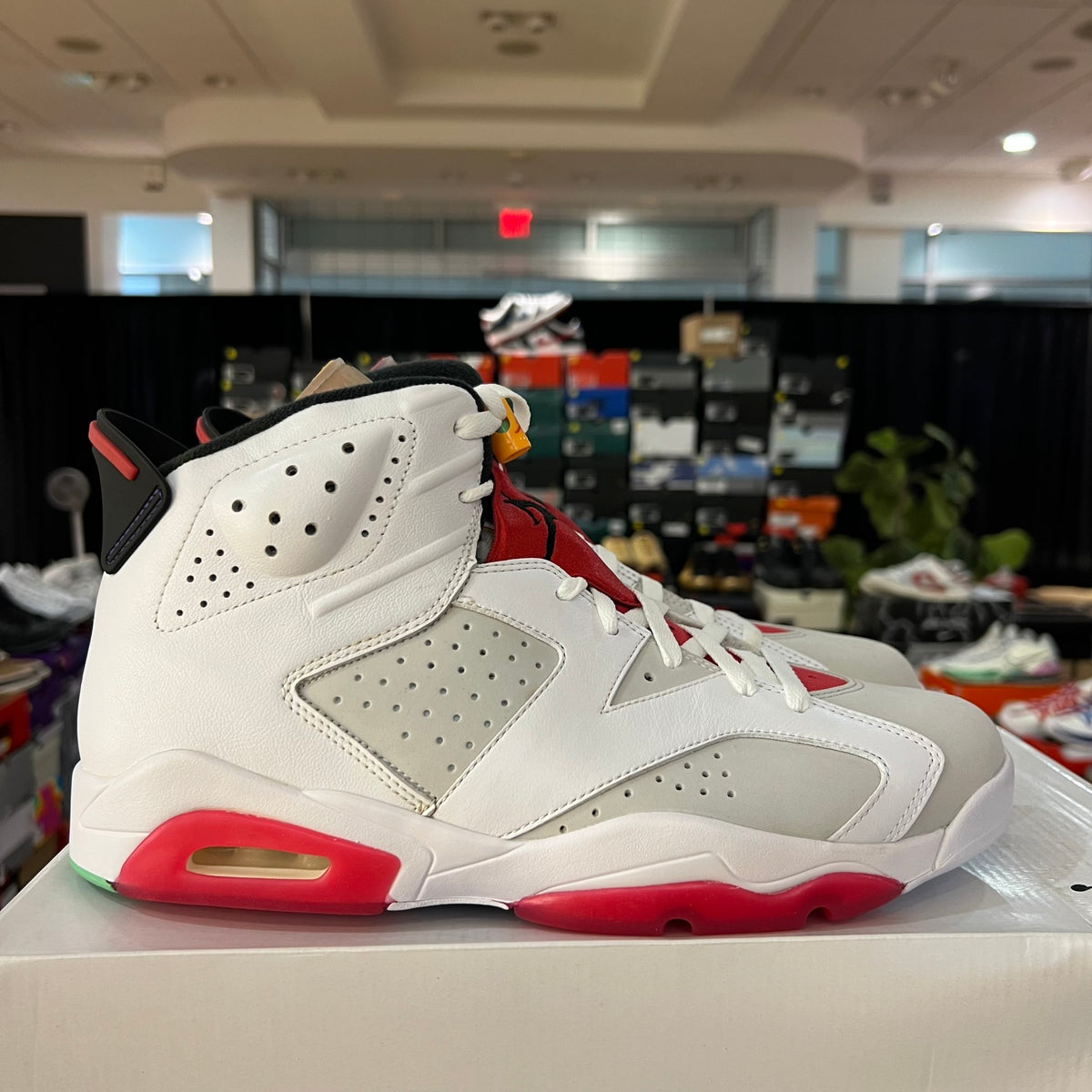 Jordan 6 Retro Hare used