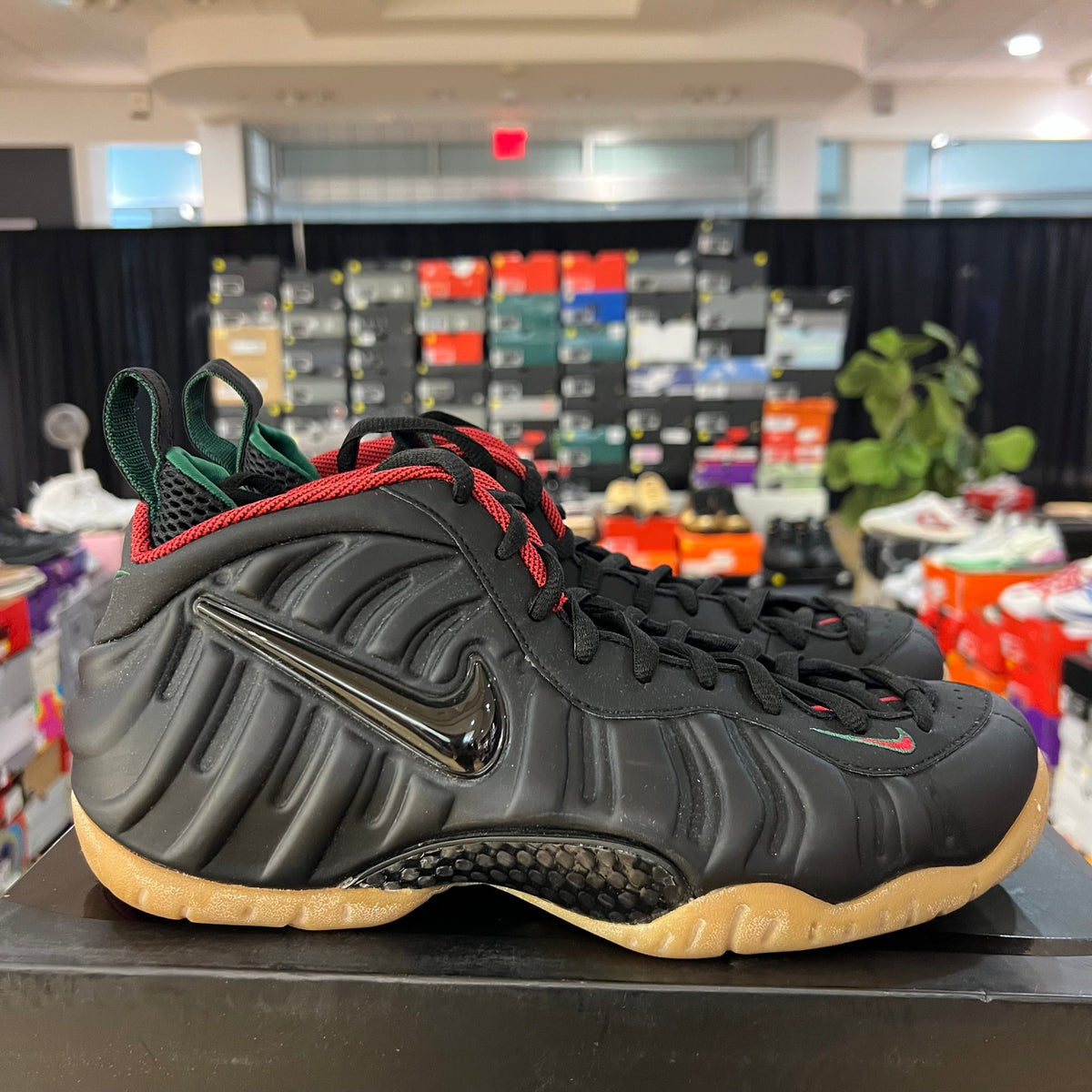 Nike Air Foamposite Pro Gucci used