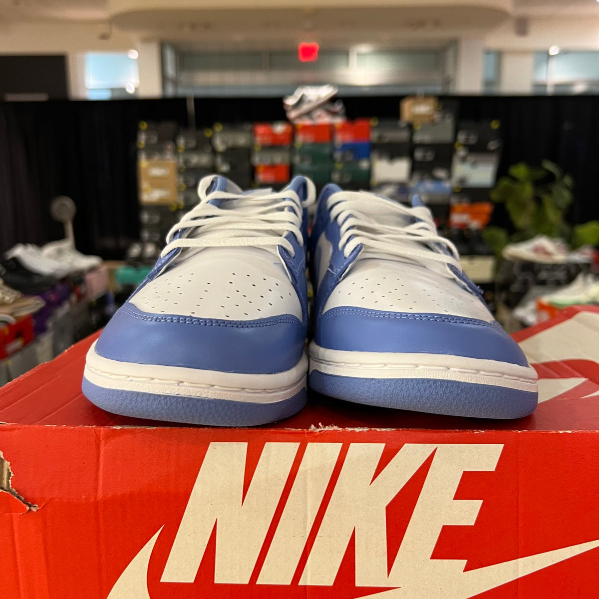 Nike Dunk Low Polar Blue used