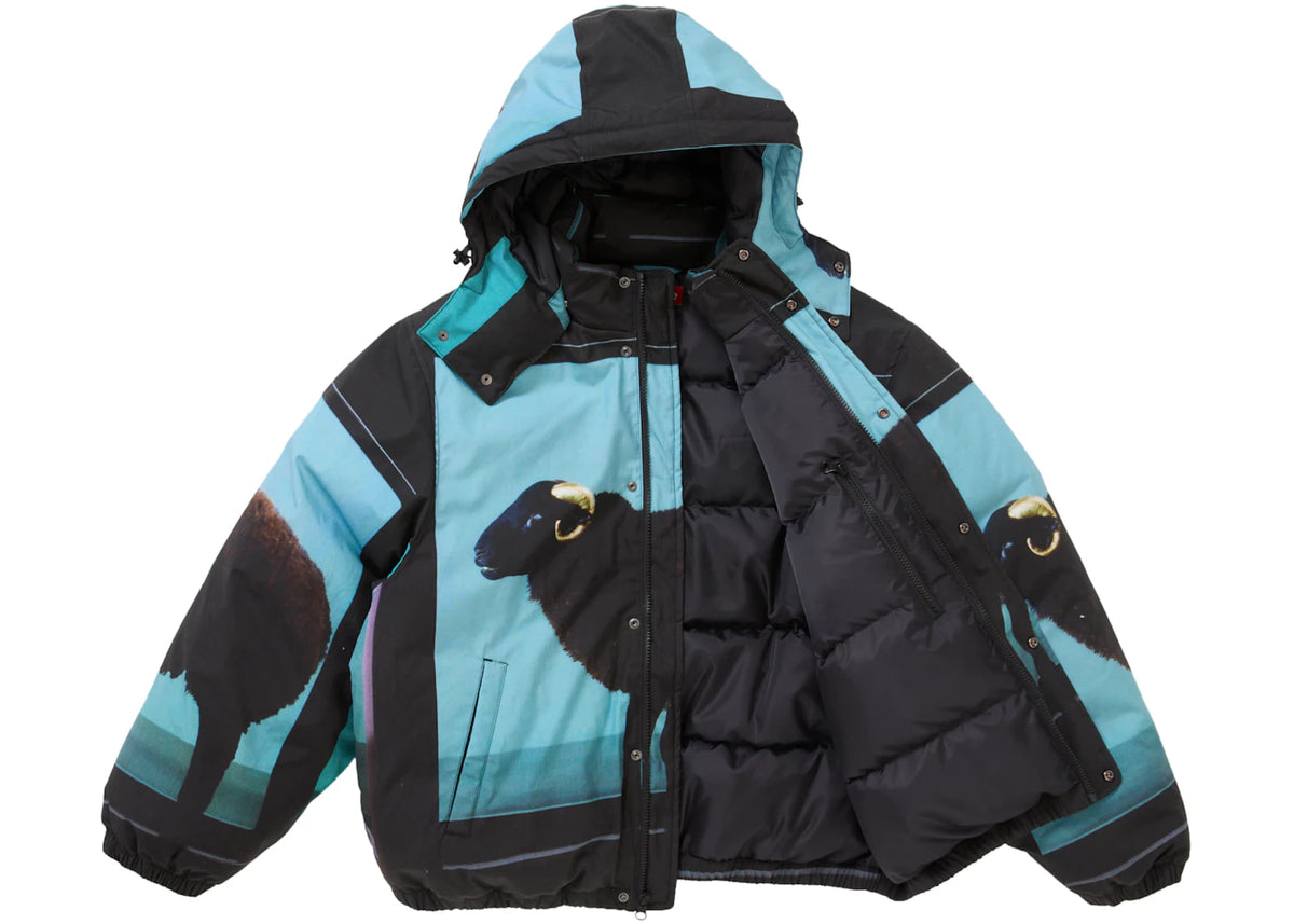 Supreme Damien Hirst Down Puffer Jacket Black New without tag