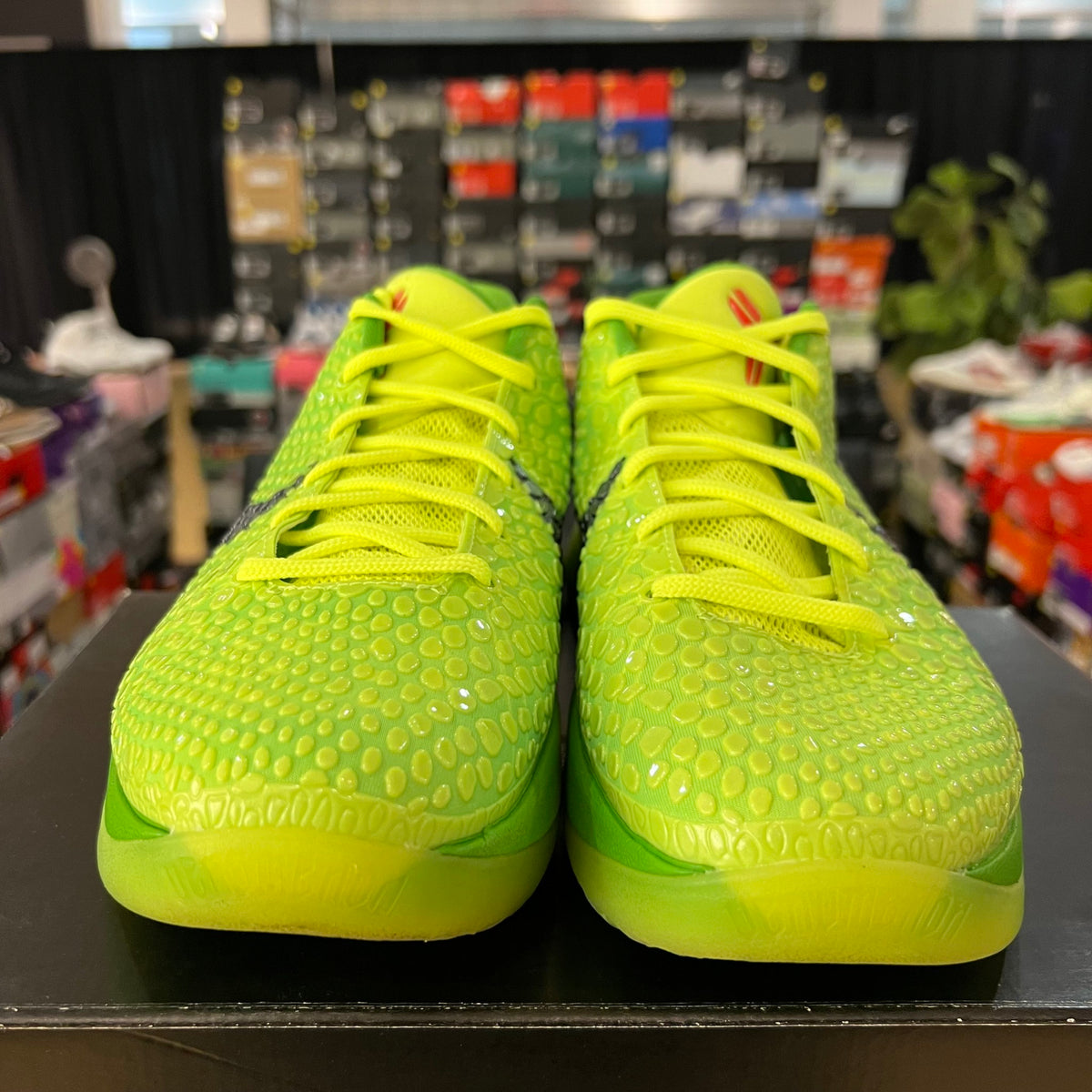 Nike Kobe 6 Protro Grinch (2020) used