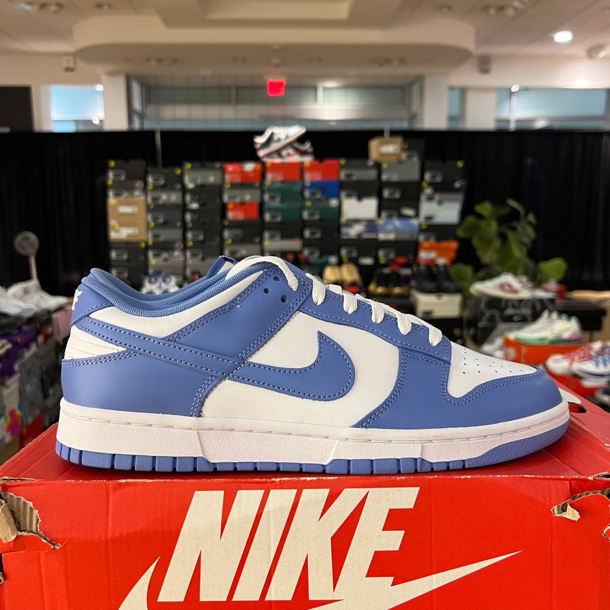 Nike Dunk Low Polar Blue used