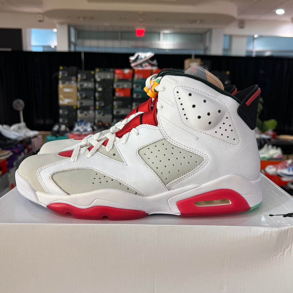Jordan 6 Retro Hare used
