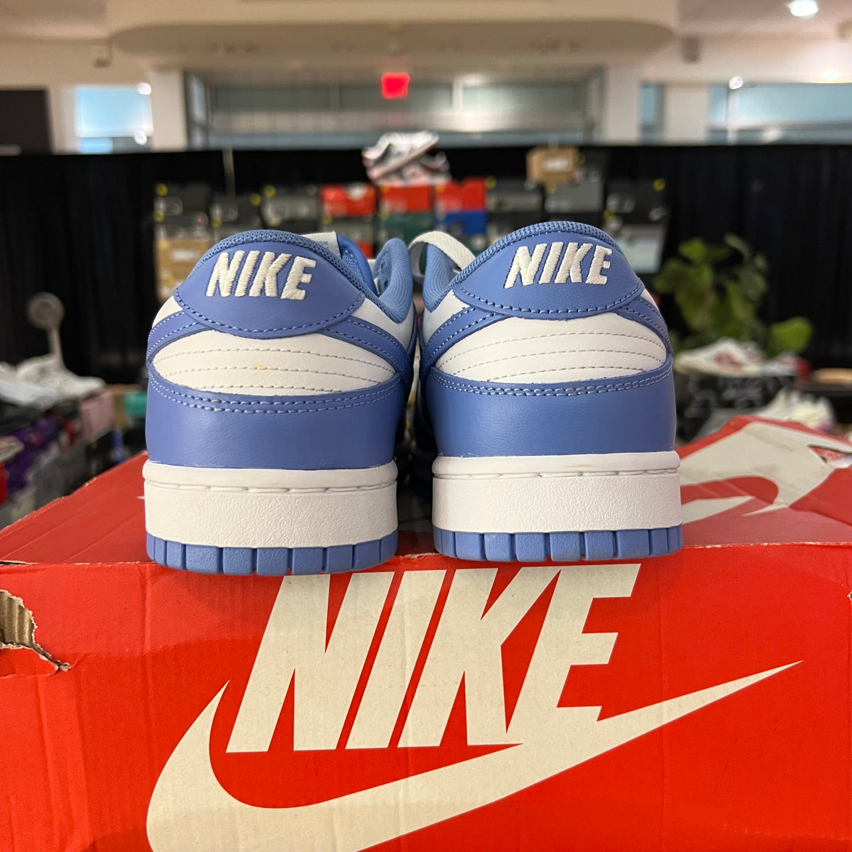 Nike Dunk Low Polar Blue used