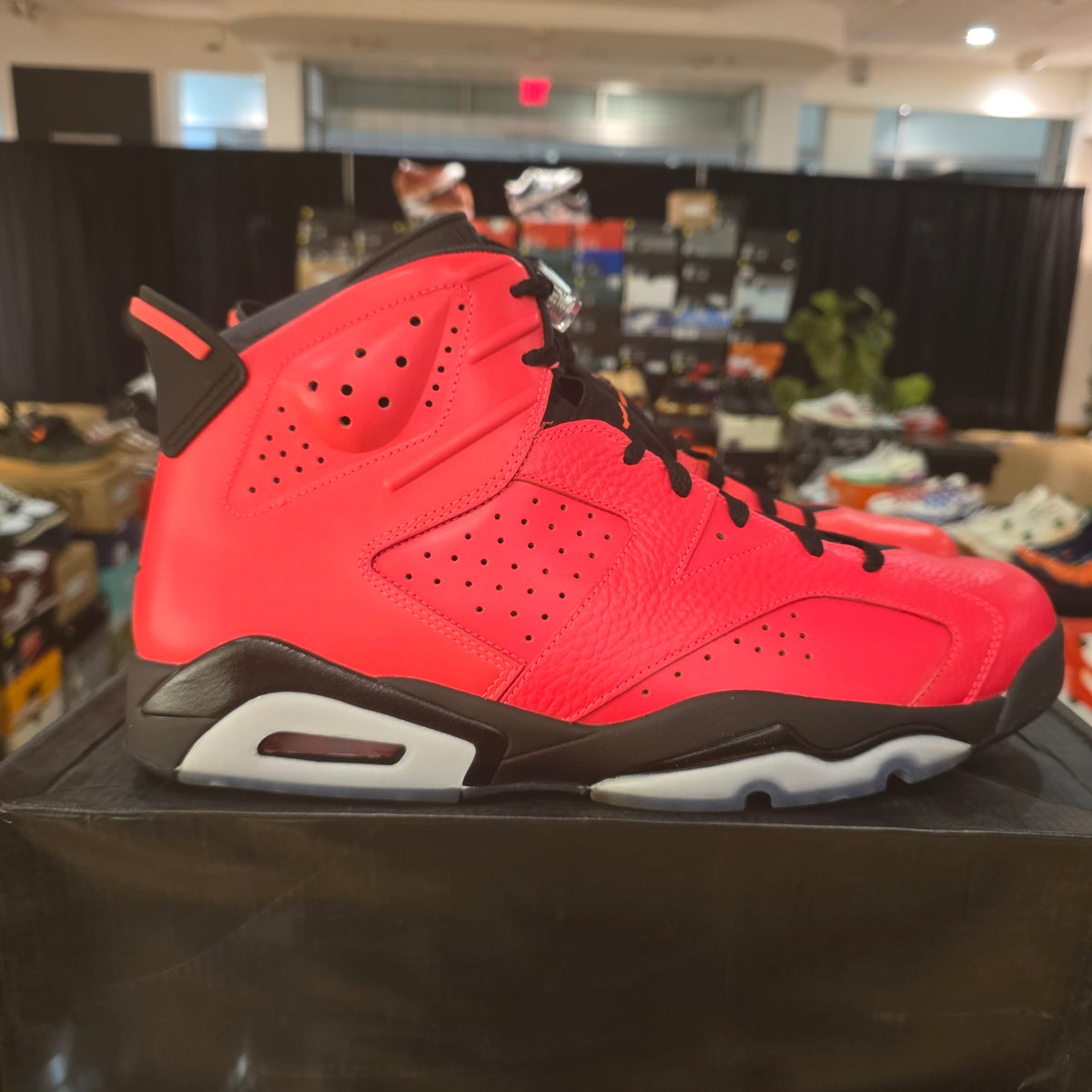 Jordan 6 Retro Infrared 23 (Toro) USED